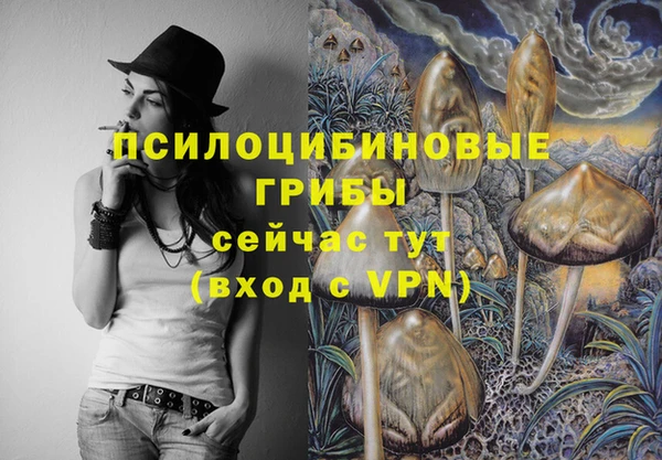 apvp Арсеньев