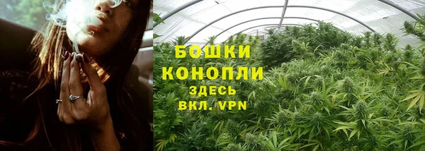 apvp Арсеньев