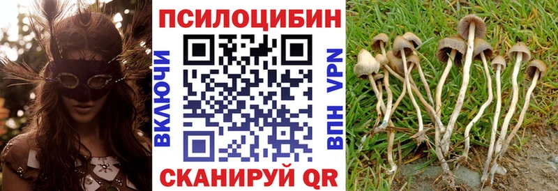 Псилоцибиновые грибы Cubensis  Тара 